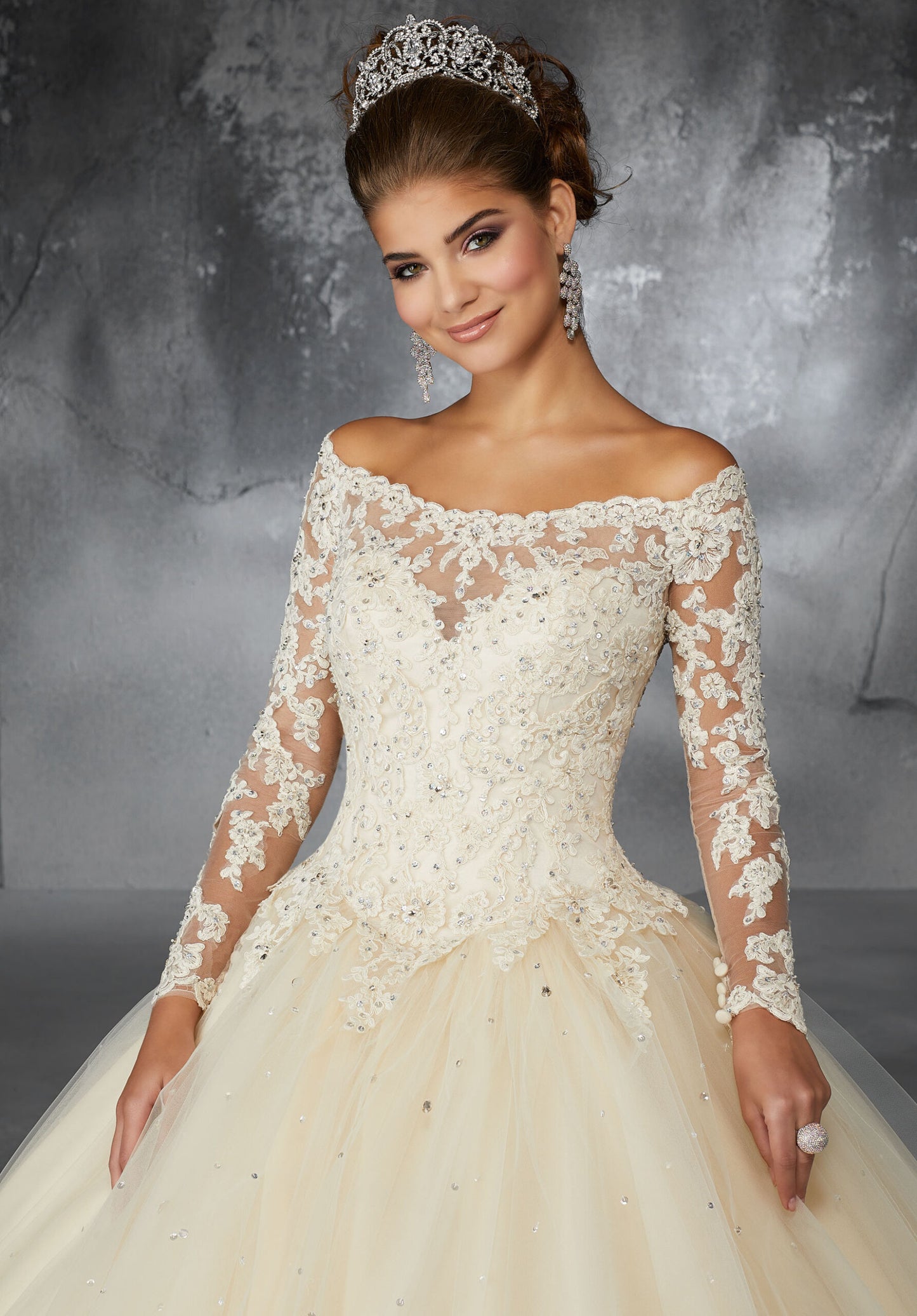 Beaded Lace Appliqués on a Tulle Ballgown Skirt #60052