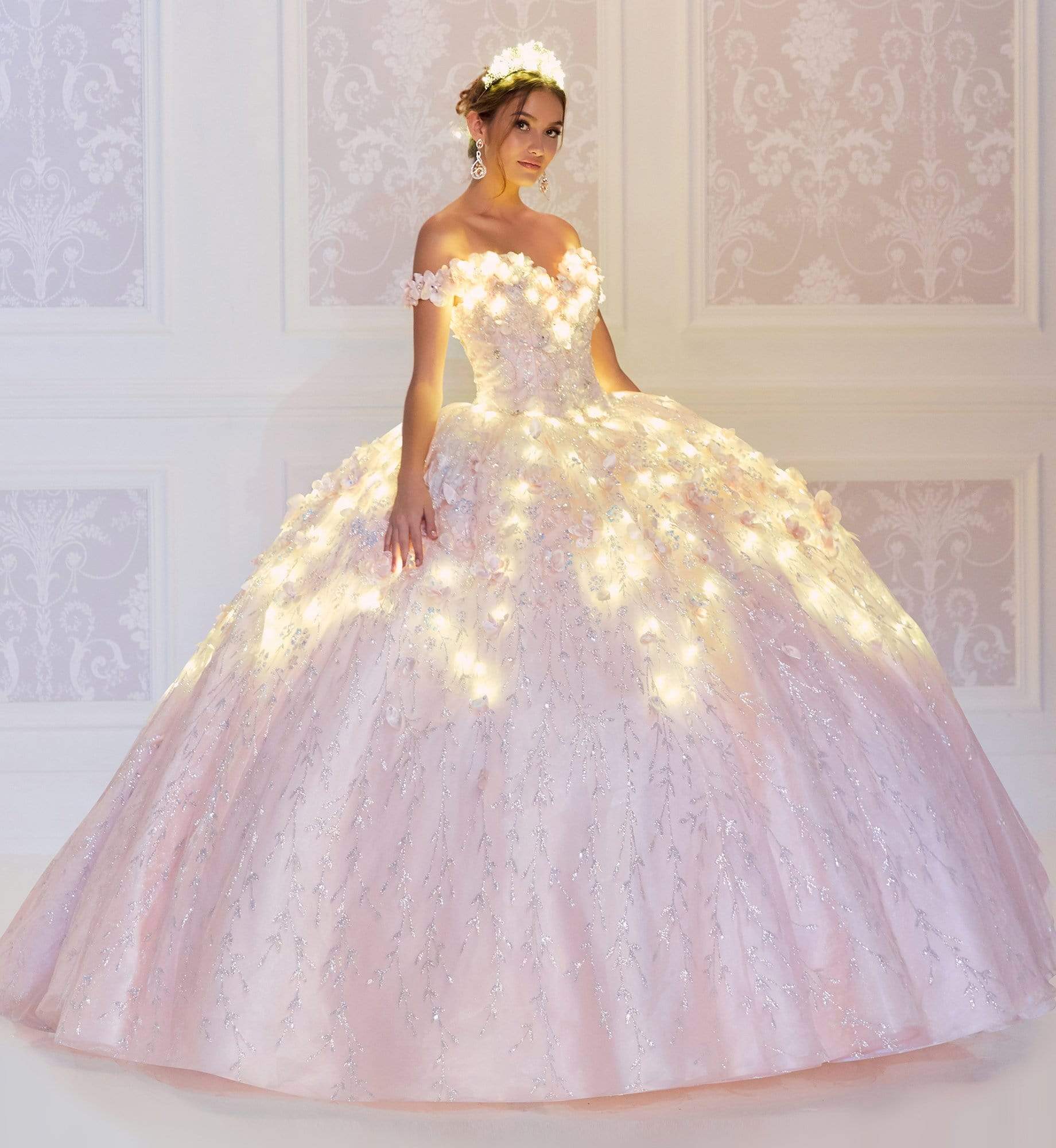 Princesa by Ariana Vara Floral Ball Gown with Lights PR22036